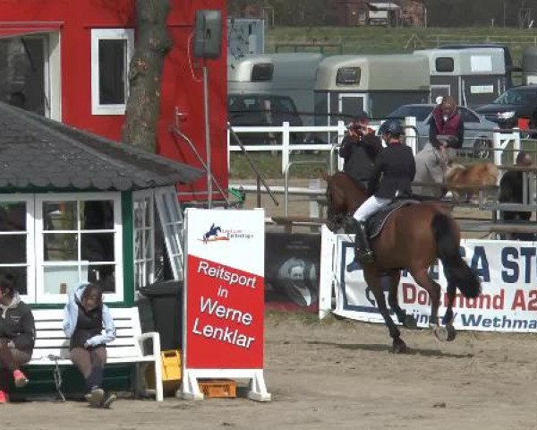Reitturnier Werne-Lenklar 2015