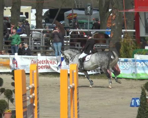 Lenklarer Reitertage 2015