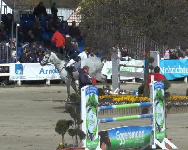Reitturnier Werne-Lenklar 2015