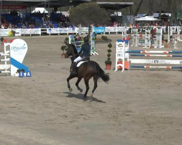 Reitturnier Werne-Lenklar 2015