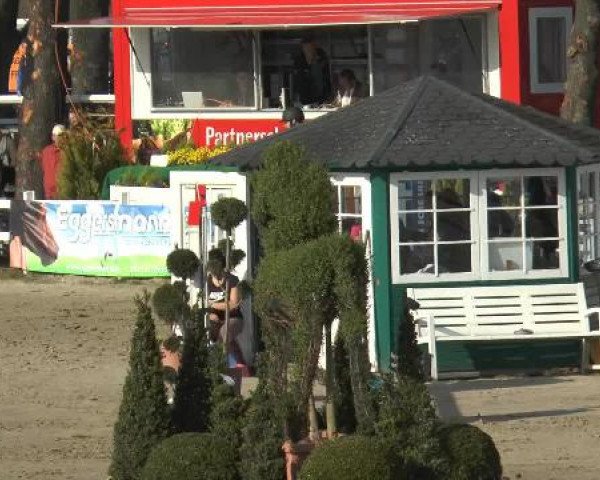 Jezdecký turnaj Werne-Lenklar 2015