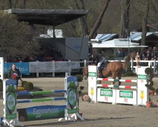 Reitturnier Werne-Lenklar 2015