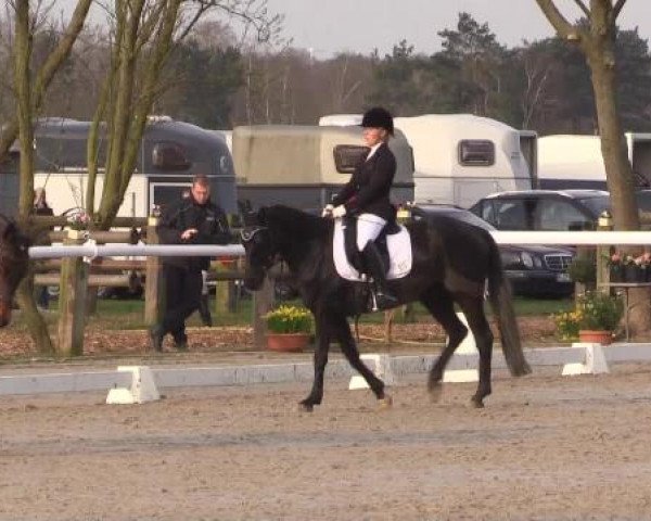Reitturnier Niedernstöcken 2015