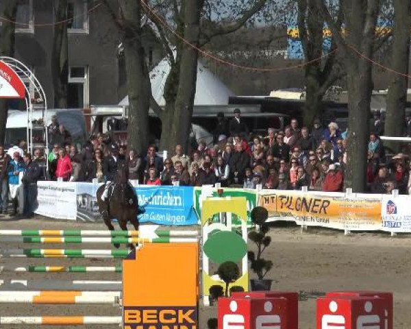 Jezdecký turnaj Werne-Lenklar 2015