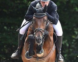 broodmare Germany (Westphalian, 2006, from Grand Coeur)