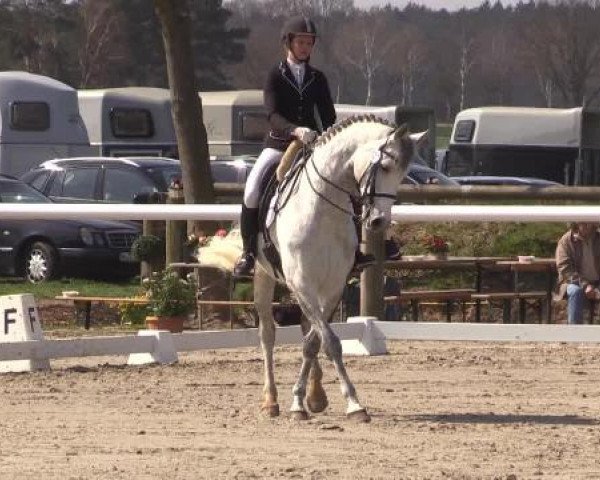 Reitturnier Niedernstöcken 2015