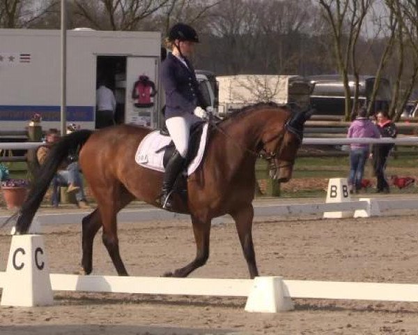 Reitturnier Niedernstöcken 2015