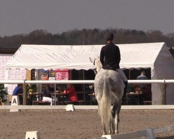 Reitturnier Niedernstöcken 2015