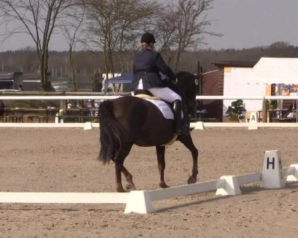 Reitturnier Niedernstöcken 2015
