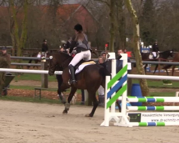 Reitturnier Niedernstöcken 2015