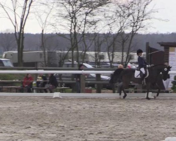 Reitturnier Niedernstöcken 2015