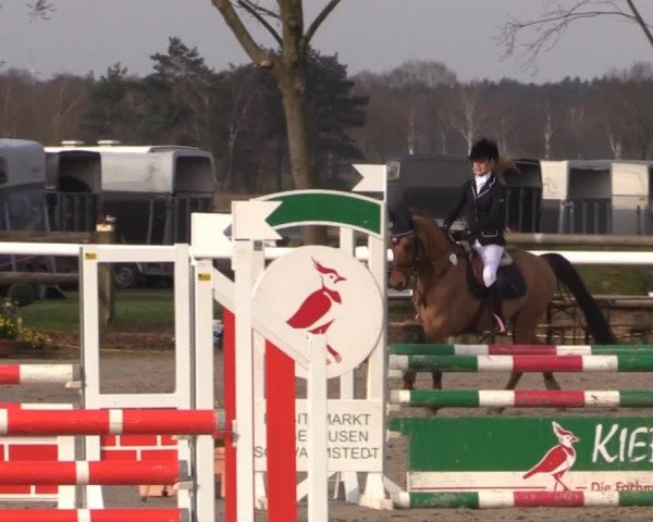 Reitturnier Niedernstöcken 2015