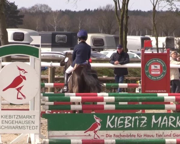 Reitturnier Niedernstöcken 2015