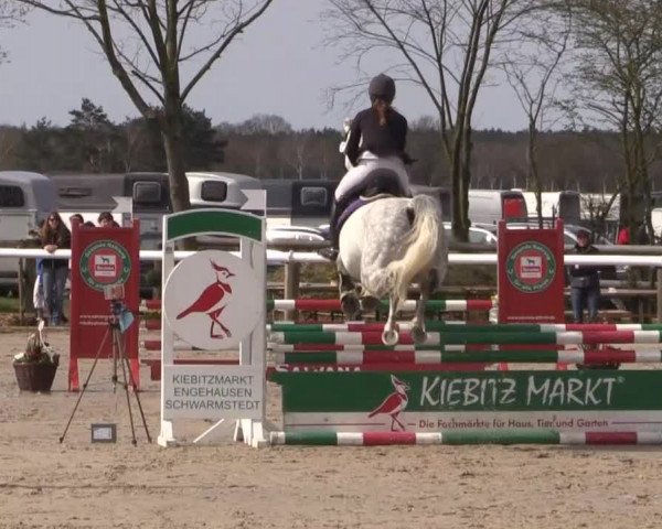 Reitturnier Niedernstöcken 2015