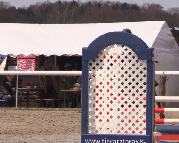 Reitturnier Niedernstöcken 2015