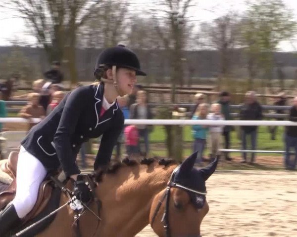 Reitturnier Niedernstöcken 2015