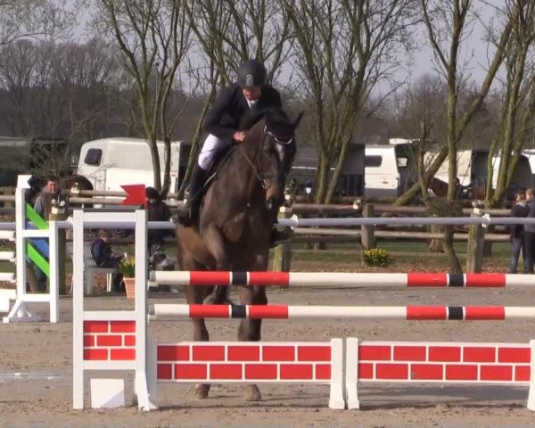 Reitturnier Niedernstöcken 2015