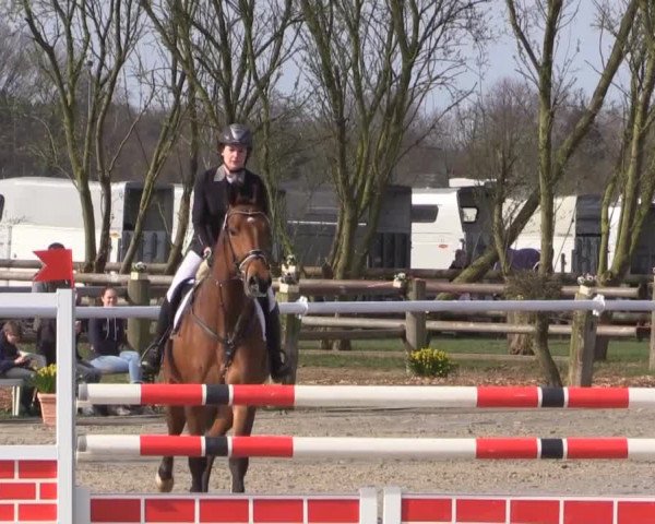Reitturnier Niedernstöcken 2015