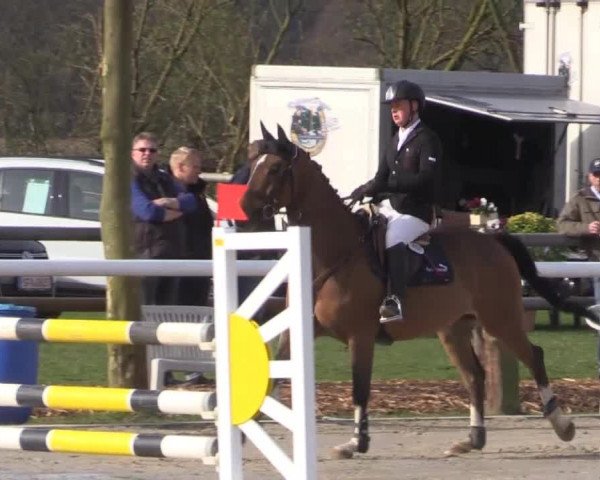 Reitturnier Niedernstöcken 2015