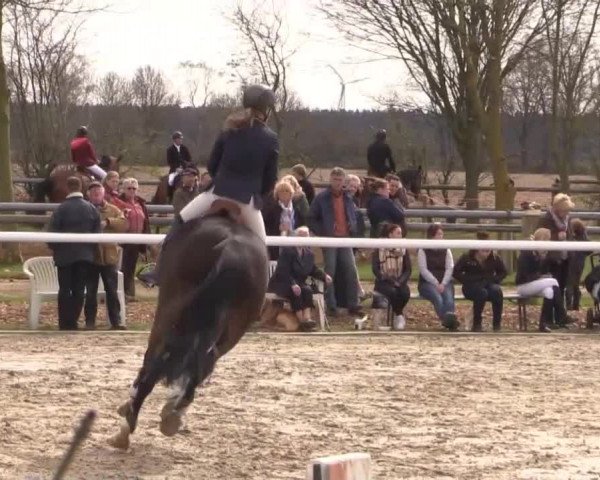 Reitturnier Niedernstöcken 2015