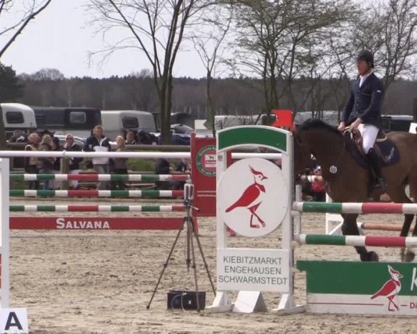 Reitturnier Niedernstöcken 2015