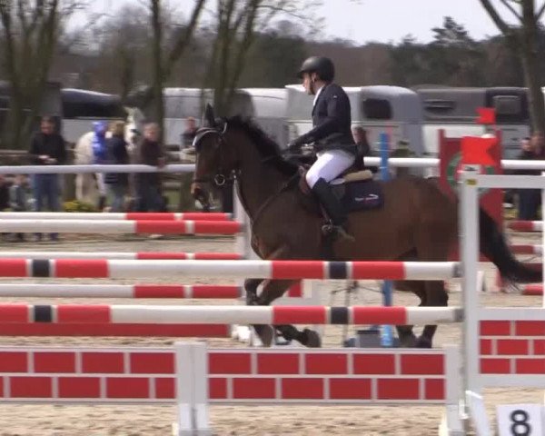 Reitturnier Niedernstöcken 2015