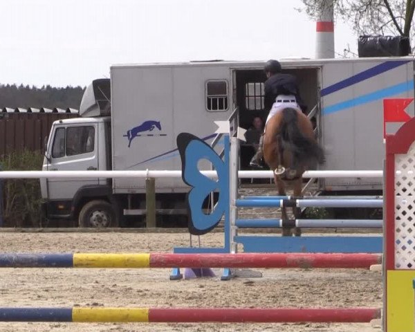 Reitturnier Niedernstöcken 2015
