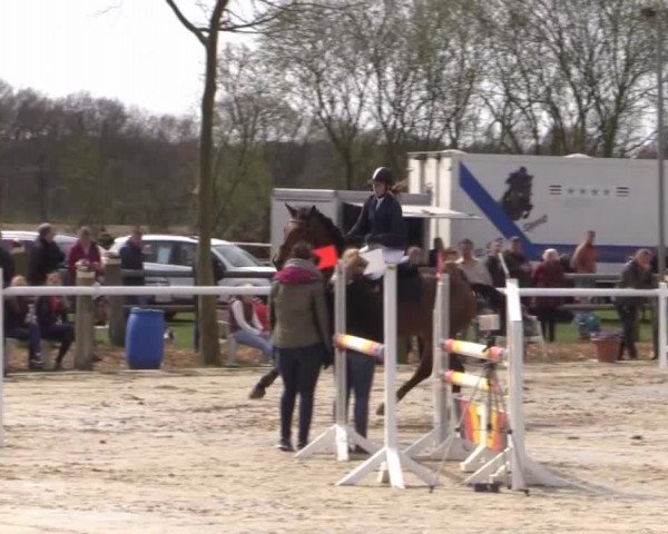 Reitturnier Niedernstöcken 2015