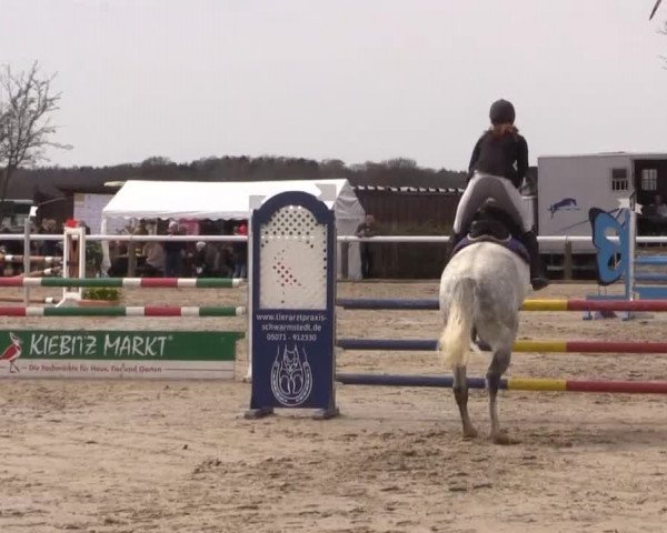 Reitturnier Niedernstöcken 2015