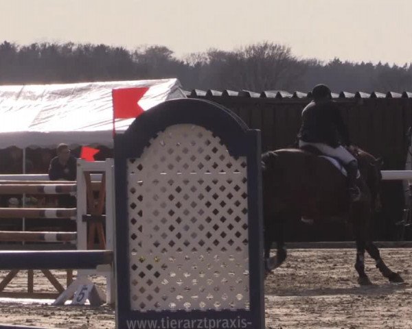 Reitturnier Niedernstöcken 2015