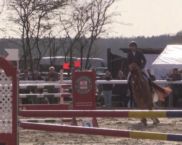 Reitturnier Niedernstöcken 2015