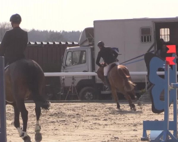 Reitturnier Niedernstöcken 2015