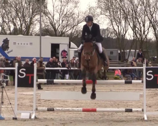 Reitturnier Niedernstöcken 2015