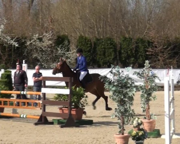 Eschweiler Late Entry 2015