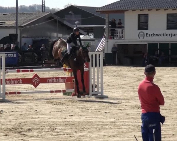 Eschweiler Late Entry 2015