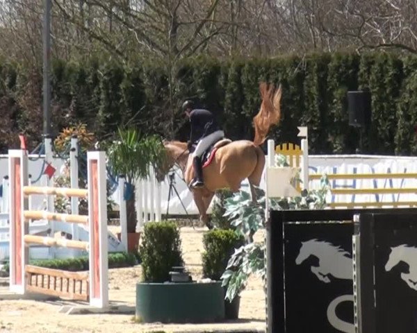 Eschweiler Late Entry 2015