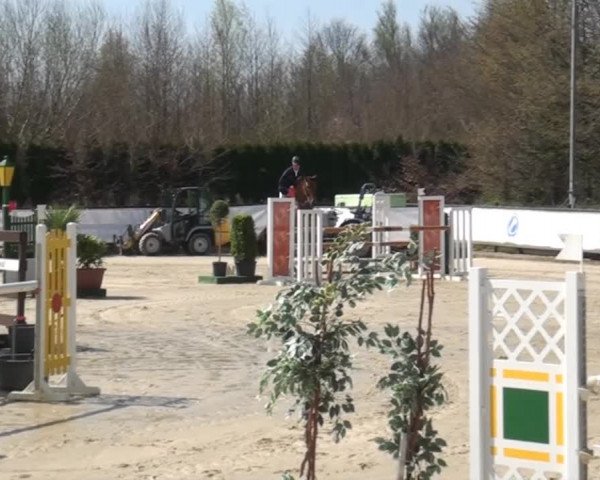 Eschweiler Late Entry 2015