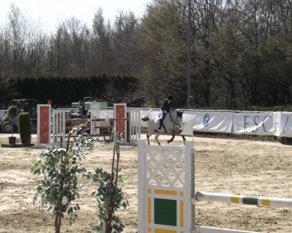 Eschweiler Late Entry 2015