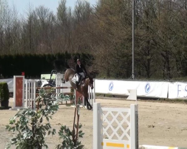 Eschweiler Late Entry 2015