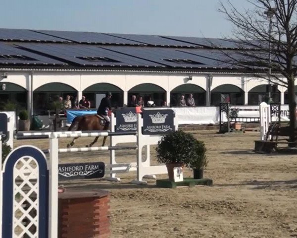 Eschweiler Late Entry 2015