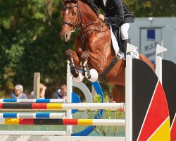 jumper Columbus PHE Exclusive (Oldenburg show jumper, 2012, from Eldorado van de Zeshoek)