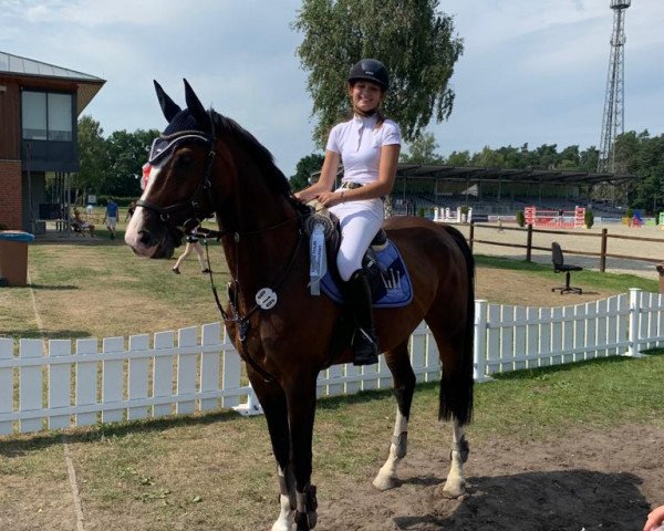 jumper Quaks 2 (Hanoverian, 2011, from FRH Quaid)