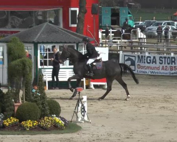 Reitturnier Werne-Lenklar 2015