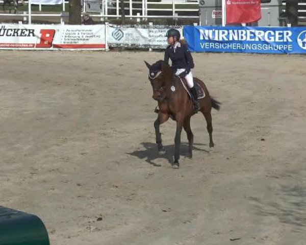 Lenklarer Reitertage 2015