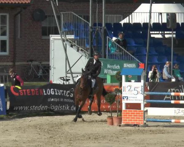 Reitturnier Werne-Lenklar 2015