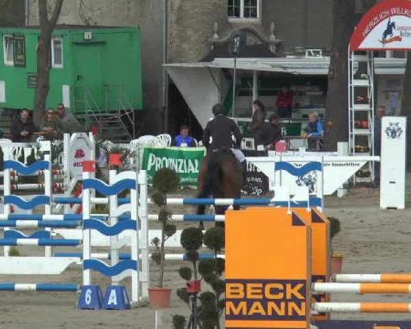 Lenklarer Reitertage 2015