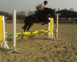 broodmare Esprit BW (Westphalian, 2007, from Ehrenpreis)