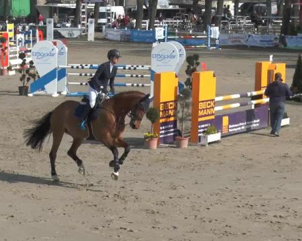 Lenklarer Reitertage 2015