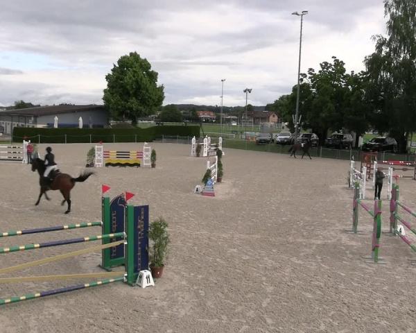 Torneo Equestre Fehraltorf 2026