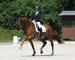 Dressurpferd Diamond 138 (KWPN (Niederländisches Warmblut), 2008, von Rubiquil)